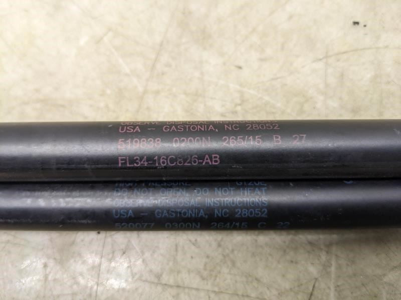 2015-2020 Ford F150 Left & Right Hood Strut Pair FL34-16C826-AB OEM - Alshned Auto Parts