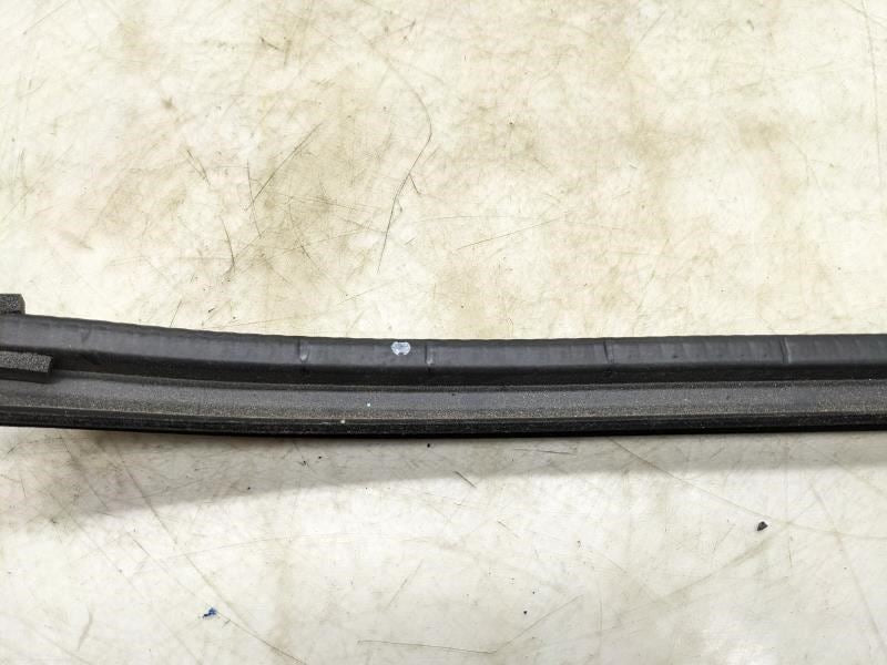 2015-2020 Ford F150 Rear Right Door Window Belt Weatherstrip FL34-1625860 OEM