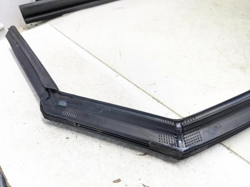 2015-19 Hyundai Sonata Rear Right Door Window Glass Run Channel 83540-C2000 OEM - Alshned Auto Parts