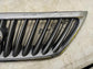 2008 Lexus RX350 Front Radiator Grille w Emblem 53101-48200 OEM *ReaD*