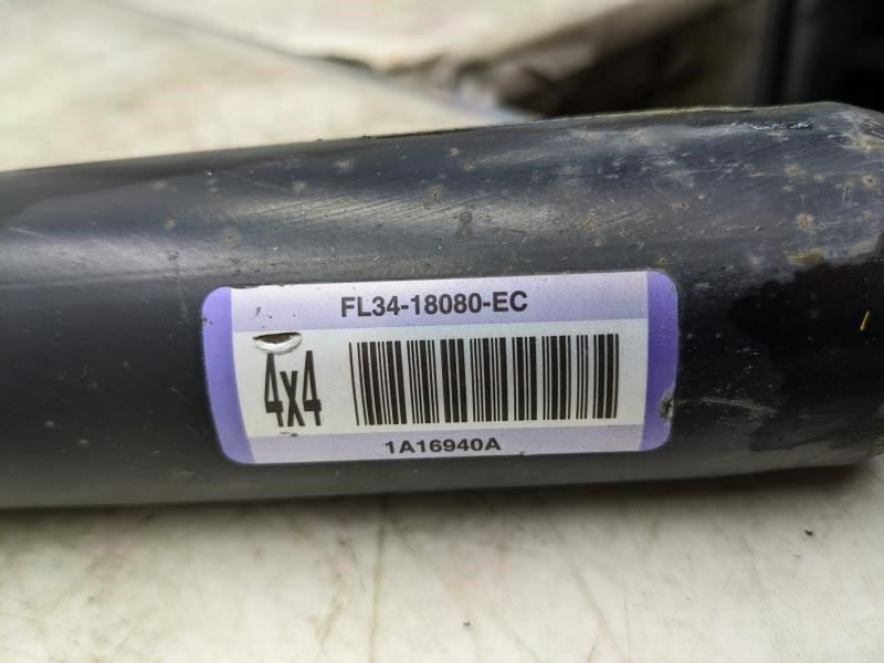 2015-2020 Ford F150 Rear Left Shock Absorber FL34-18080-EC OEM - Alshned Auto Parts