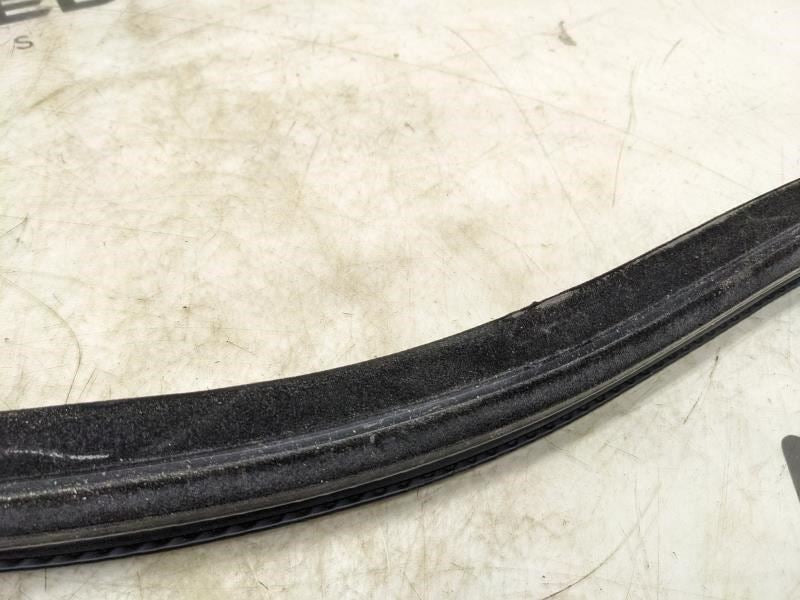 2015-2020 Ford F150 Front Left Door Window Belt Weatherstrip FL3Z-1521457-B OEM