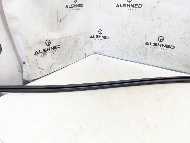 2017-20 Hyundai Elantra Front Right Door Inner Belt Weatherstrip 82241-F2000 OEM - Alshned Auto Parts